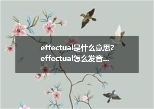 effectual是什么意思?effectual怎么发音?effectual的解释和用法