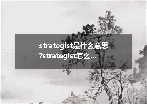 strategist是什么意思?strategist怎么发音?strategist的解释和用法
