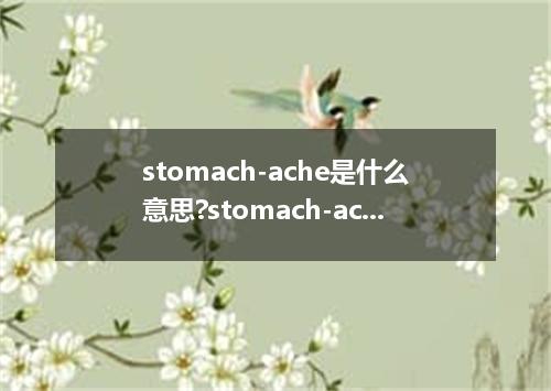 stomach-ache是什么意思?stomach-ache怎么发音?stomach-ache的解释和用法