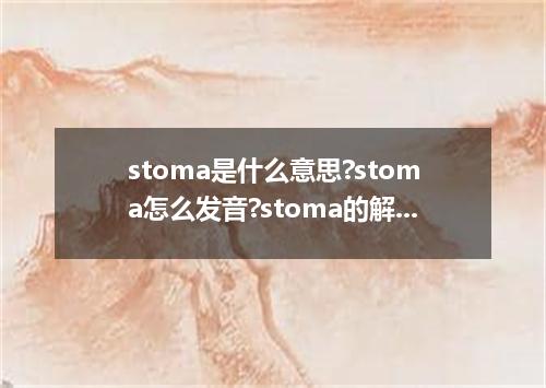 stoma是什么意思?stoma怎么发音?stoma的解释和用法