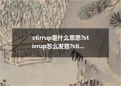 stirrup是什么意思?stirrup怎么发音?stirrup的解释和用法