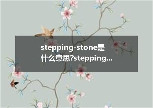 stepping-stone是什么意思?stepping-stone怎么发音?stepping-stone的解释和用法