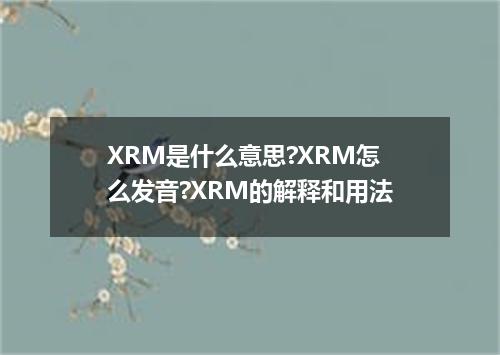 XRM是什么意思?XRM怎么发音?XRM的解释和用法
