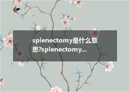 splenectomy是什么意思?splenectomy怎么发音?splenectomy的解释和用法