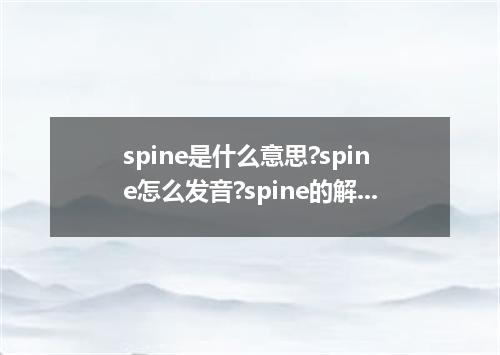 spine是什么意思?spine怎么发音?spine的解释和用法