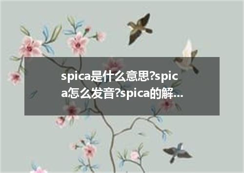 spica是什么意思?spica怎么发音?spica的解释和用法