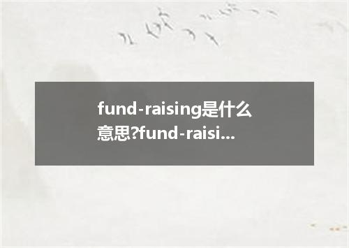 fund-raising是什么意思?fund-raising怎么发音?fund-raising的解释和用法