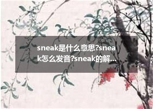 sneak是什么意思?sneak怎么发音?sneak的解释和用法