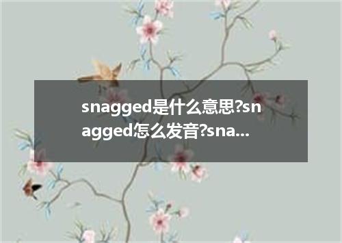 snagged是什么意思?snagged怎么发音?snagged的解释和用法