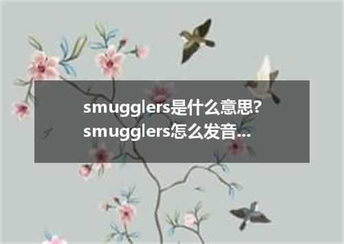 smugglers是什么意思?smugglers怎么发音?smugglers的解释和用法