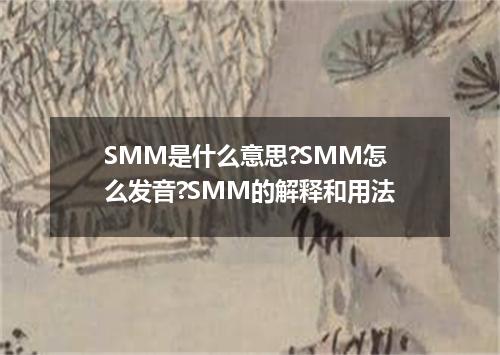 SMM是什么意思?SMM怎么发音?SMM的解释和用法