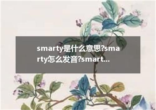 smarty是什么意思?smarty怎么发音?smarty的解释和用法