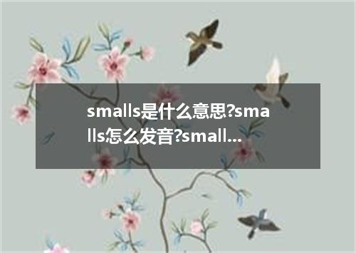 smalls是什么意思?smalls怎么发音?smalls的解释和用法