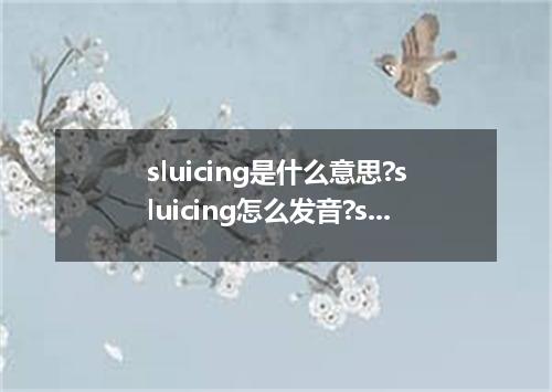 sluicing是什么意思?sluicing怎么发音?sluicing的解释和用法