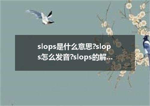 slops是什么意思?slops怎么发音?slops的解释和用法