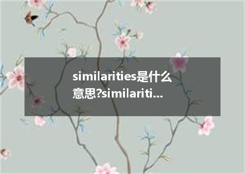 similarities是什么意思?similarities怎么发音?similarities的解释和用法
