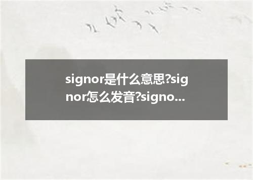 signor是什么意思?signor怎么发音?signor的解释和用法