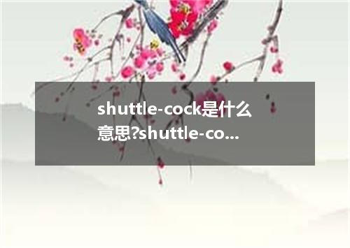 shuttle-cock是什么意思?shuttle-cock怎么发音?shuttle-cock的解释和用法