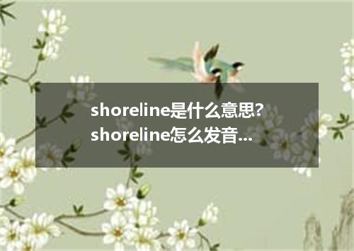 shoreline是什么意思?shoreline怎么发音?shoreline的解释和用法