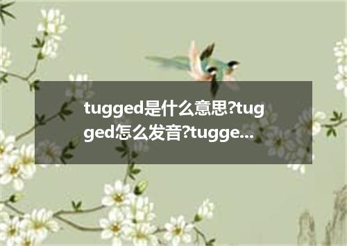 tugged是什么意思?tugged怎么发音?tugged的解释和用法