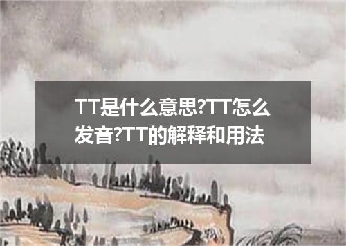 TT是什么意思?TT怎么发音?TT的解释和用法