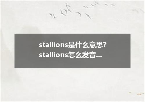 stallions是什么意思?stallions怎么发音?stallions的解释和用法
