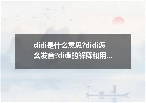 didi是什么意思?didi怎么发音?didi的解释和用法