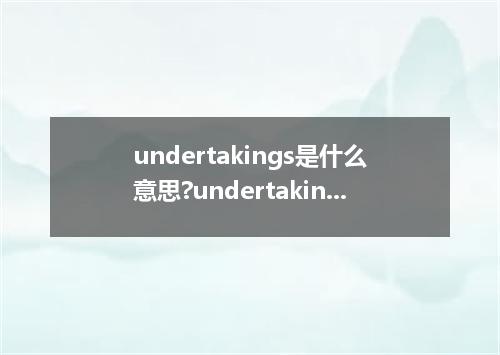 undertakings是什么意思?undertakings怎么发音?undertakings的解释和用法
