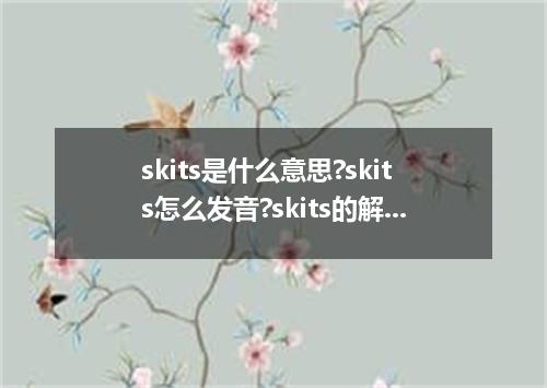 skits是什么意思?skits怎么发音?skits的解释和用法