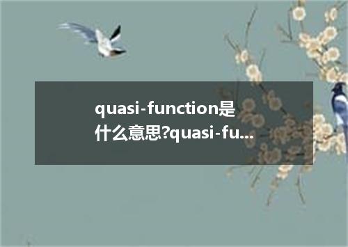quasi-function是什么意思?quasi-function怎么发音?quasi-function的解释和用法