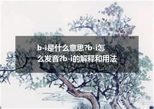 b-i是什么意思?b-i怎么发音?b-i的解释和用法