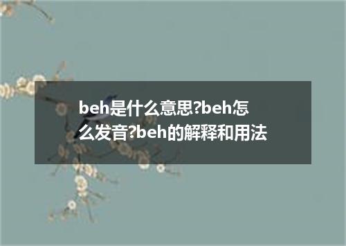 beh是什么意思?beh怎么发音?beh的解释和用法