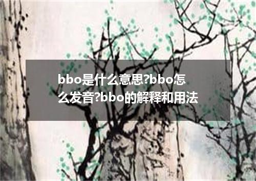 bbo是什么意思?bbo怎么发音?bbo的解释和用法