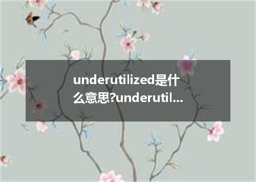 underutilized是什么意思?underutilized怎么发音?underutilized的解释和用法