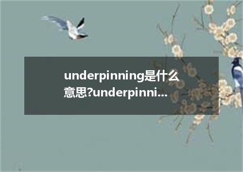 underpinning是什么意思?underpinning怎么发音?underpinning的解释和用法