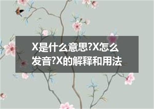 X是什么意思?X怎么发音?X的解释和用法