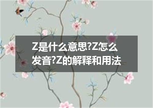 Z是什么意思?Z怎么发音?Z的解释和用法