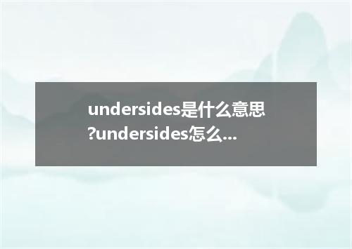 undersides是什么意思?undersides怎么发音?undersides的解释和用法