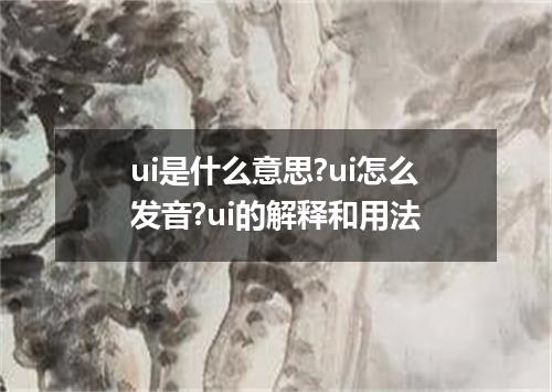 ui是什么意思?ui怎么发音?ui的解释和用法