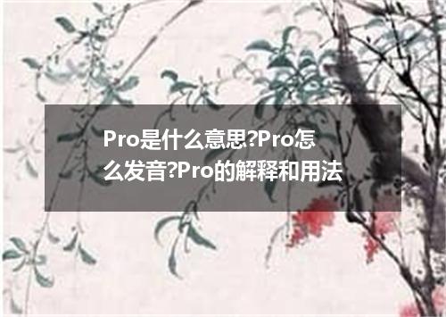 Pro是什么意思?Pro怎么发音?Pro的解释和用法