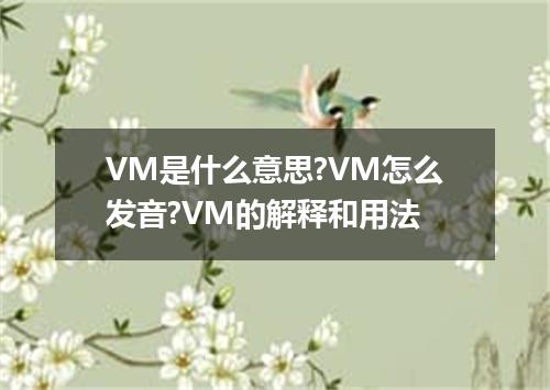 VM是什么意思?VM怎么发音?VM的解释和用法