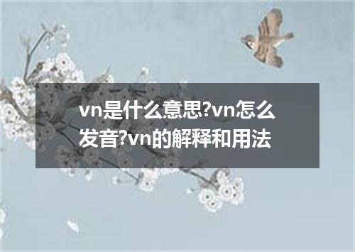 vn是什么意思?vn怎么发音?vn的解释和用法