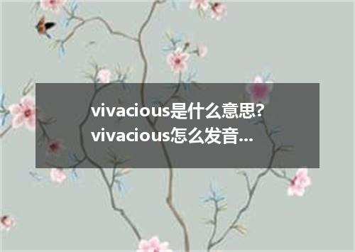 vivacious是什么意思?vivacious怎么发音?vivacious的解释和用法
