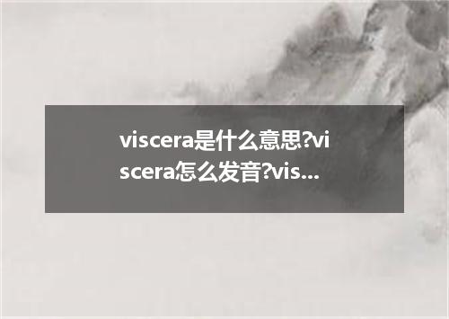 viscera是什么意思?viscera怎么发音?viscera的解释和用法