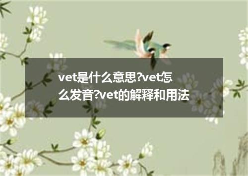 vet是什么意思?vet怎么发音?vet的解释和用法