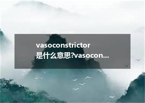 vasoconstrictor是什么意思?vasoconstrictor怎么发音?vasoconstrictor的解释和用法