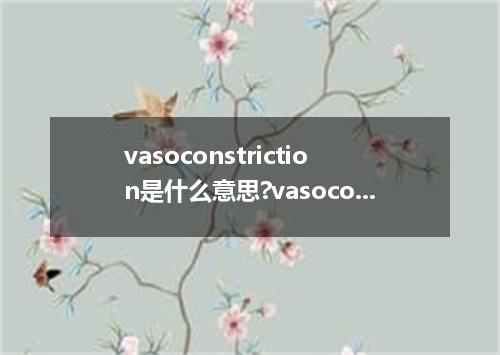 vasoconstriction是什么意思?vasoconstriction怎么发音?vasoconstriction的解释和用法