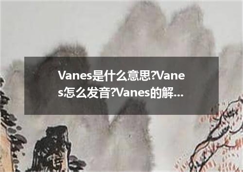 Vanes是什么意思?Vanes怎么发音?Vanes的解释和用法