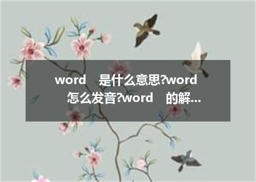 word 是什么意思?word 怎么发音?word 的解释和用法