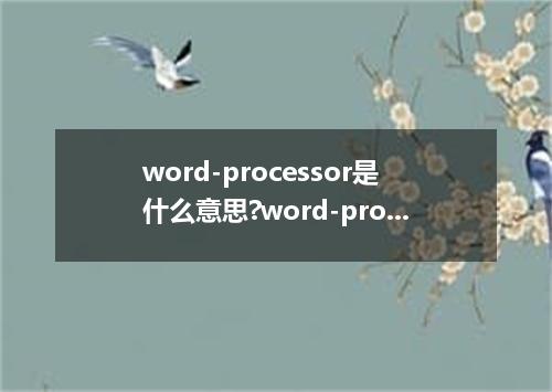 word-processor是什么意思?word-processor怎么发音?word-processor的解释和用法